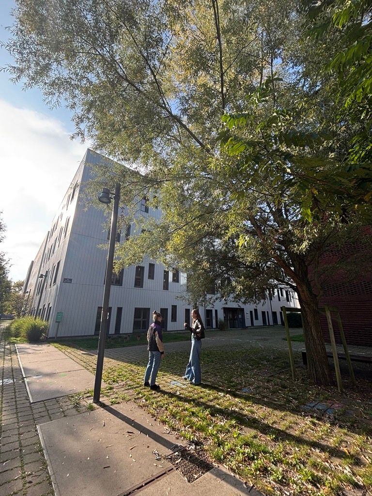 Photo Condé Lille campus extérieur