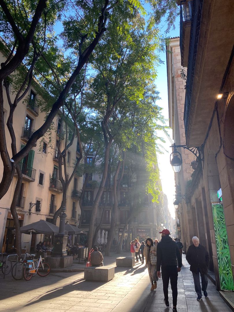 Conde_nancy_a_barcelone_1