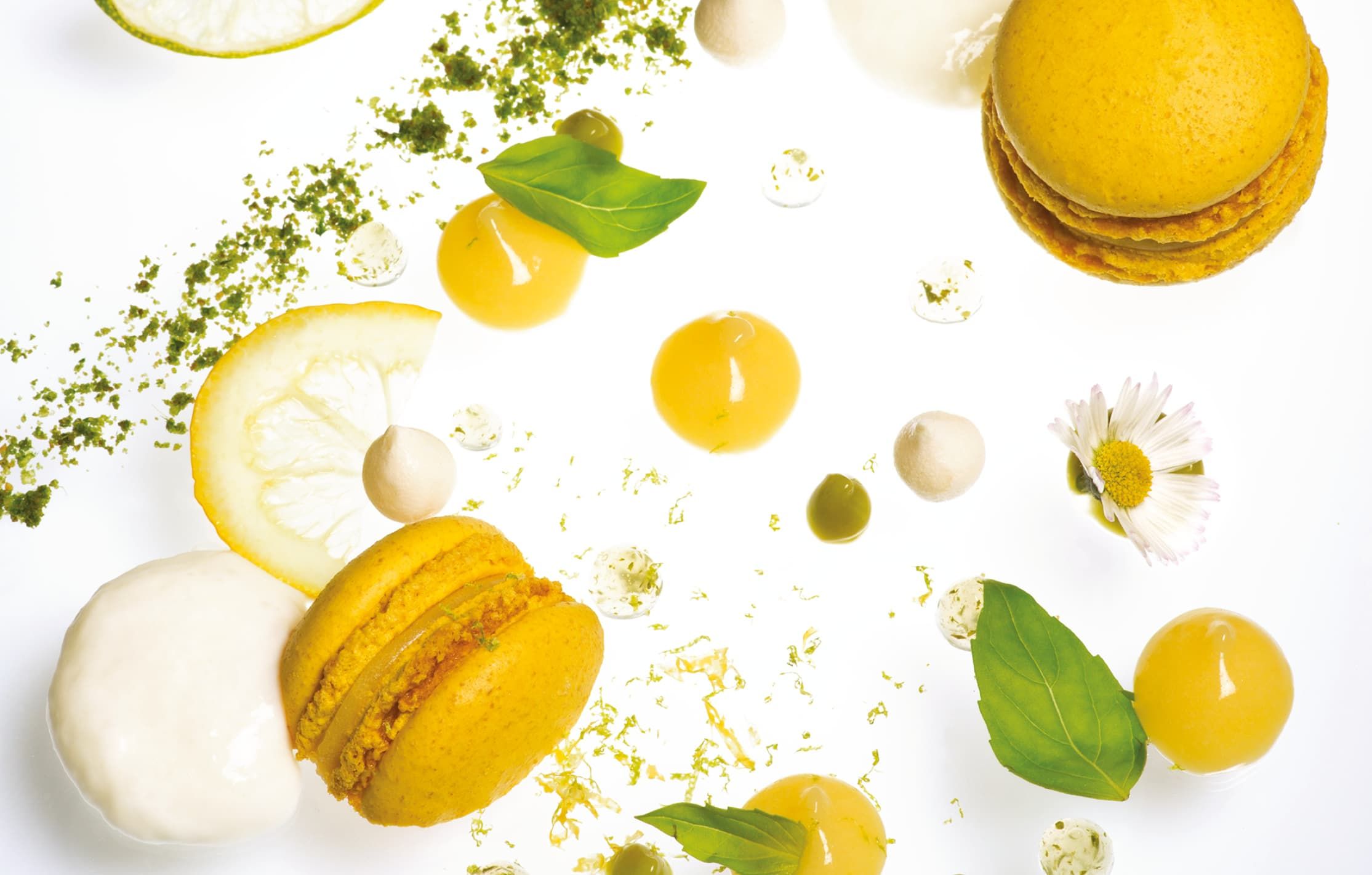 Photographe_culinaire - fiche métier Condé