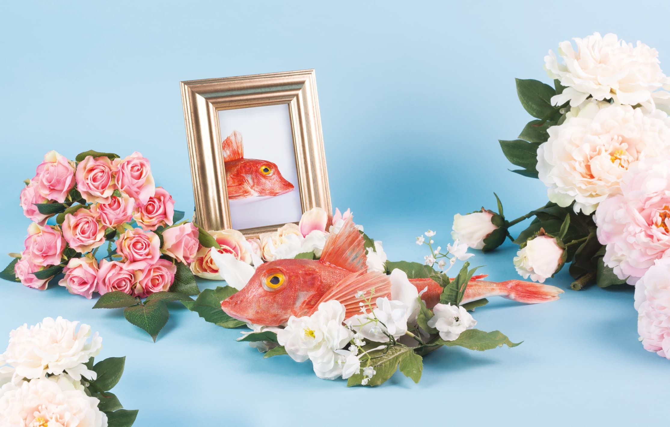 Photographe_plasticien - fiche métier Condé