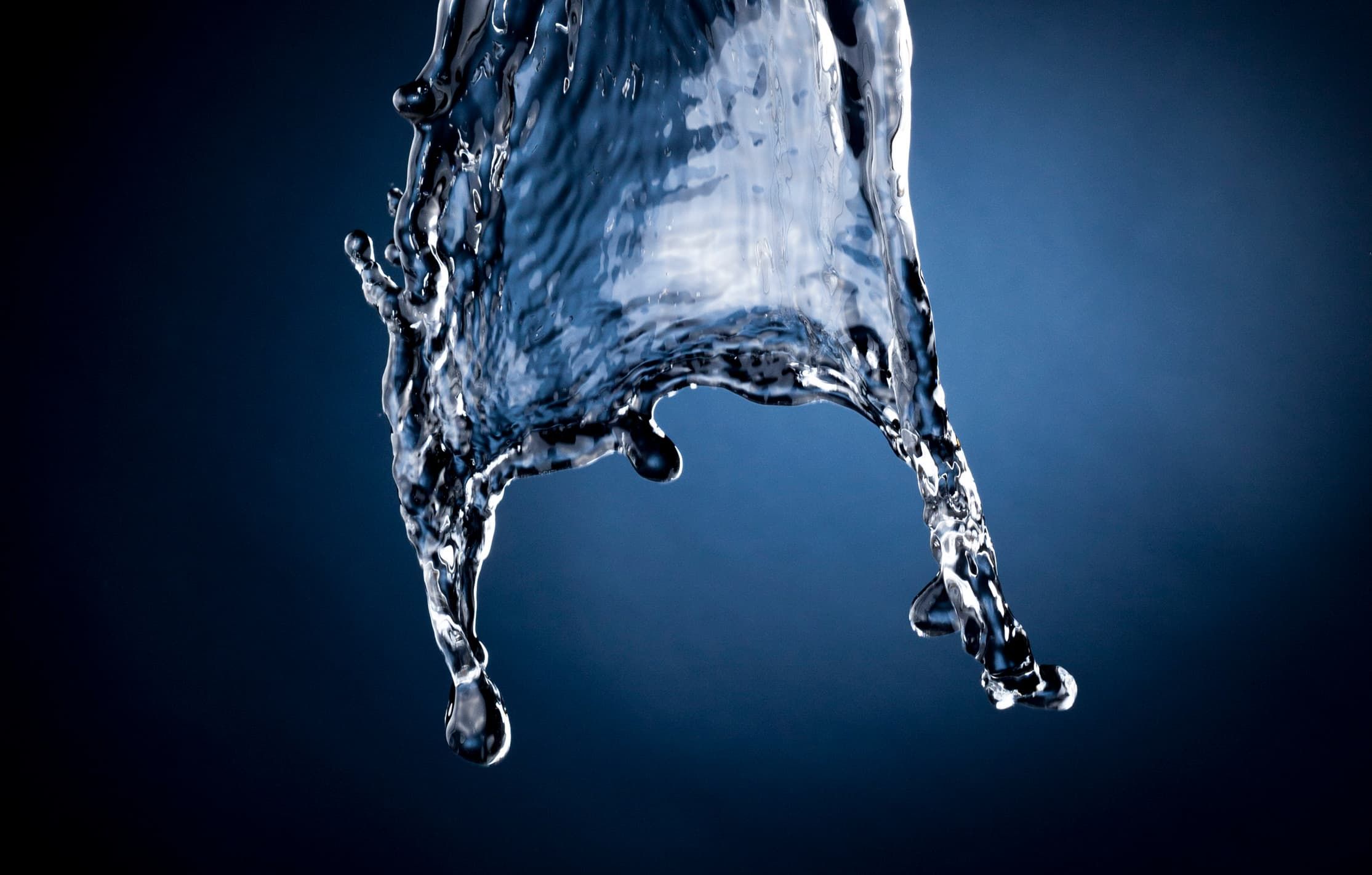 Photographe_scientifique - fiche métier Condé