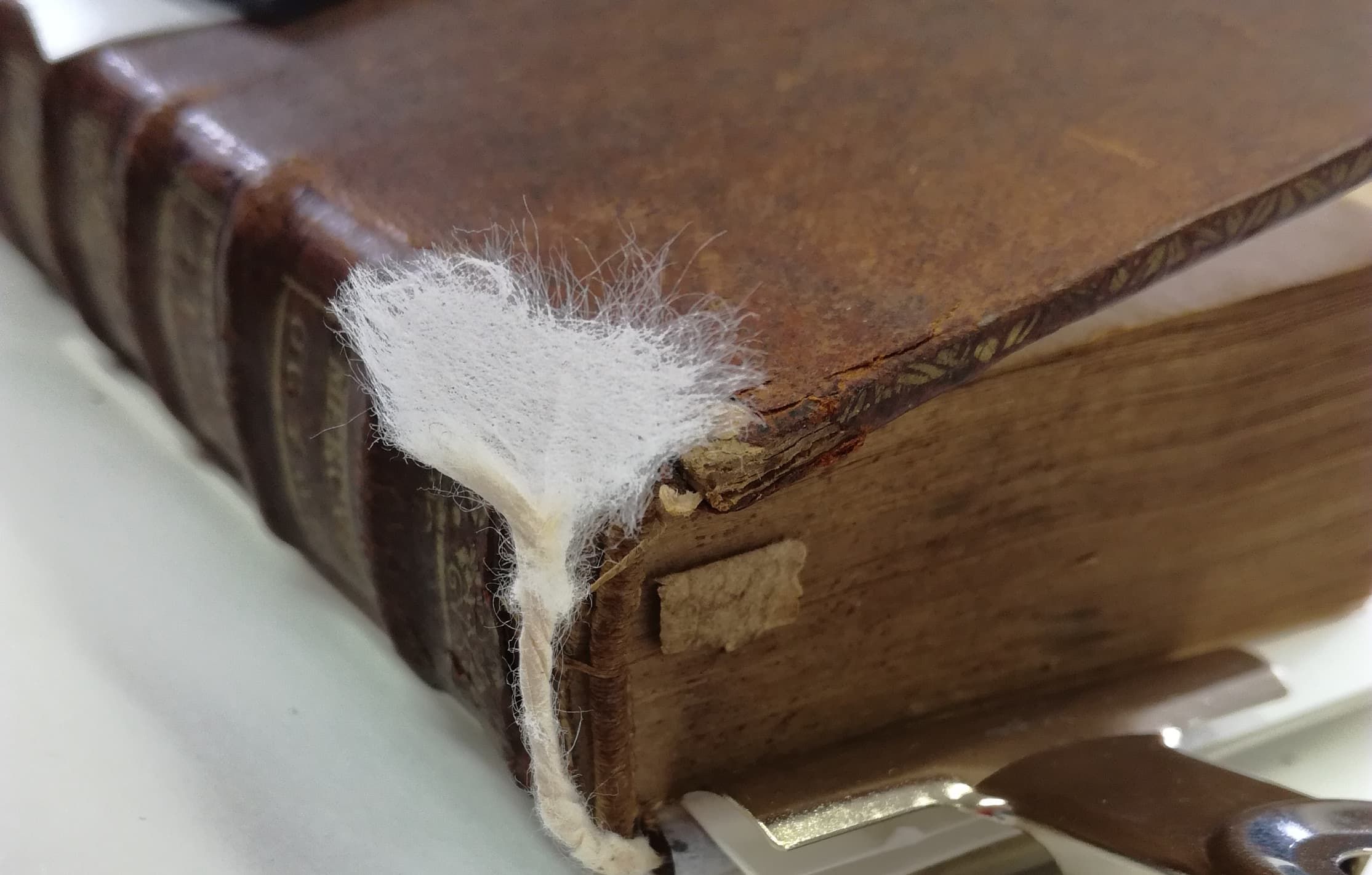 Restaurateur_-_relieur - fiche métier Condé