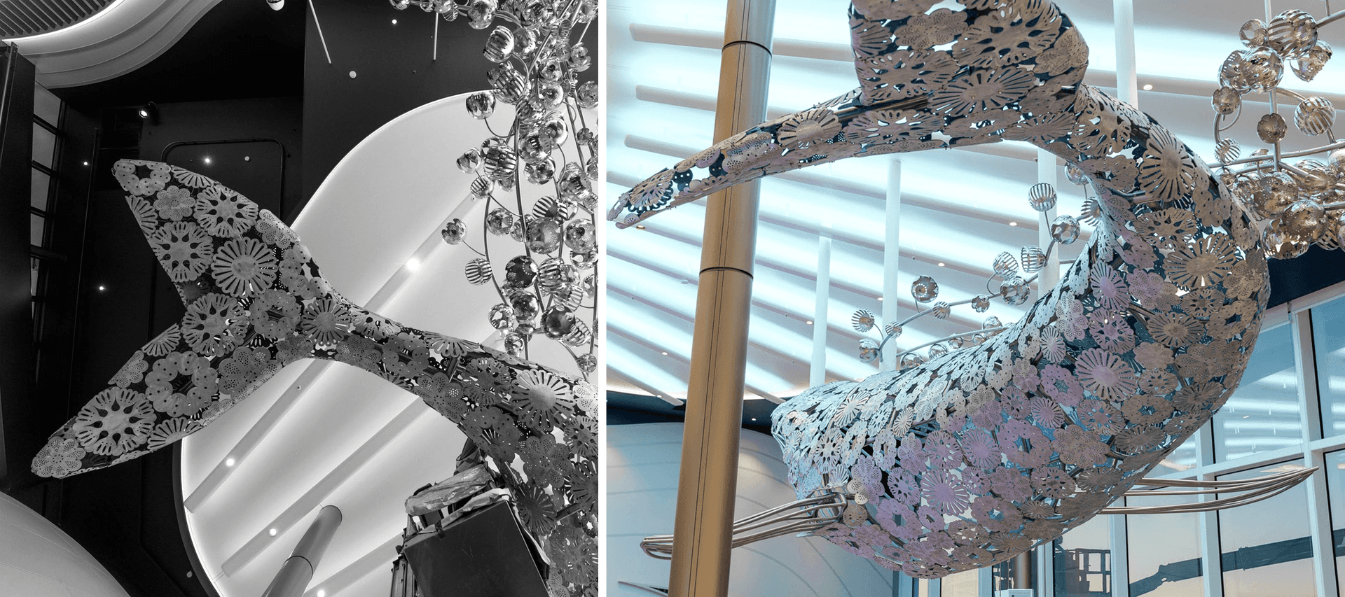 Salam Jaber_visuels_2.png